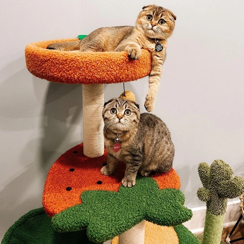 Fruit World Cat Tree 9 Fruit World Cat Tree - Image 7