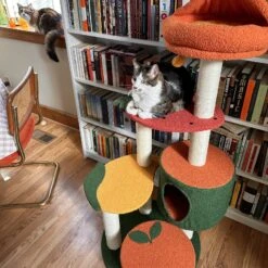 Fruit World Cat Tree 20 Fruit World Cat Tree -A Great Coffee Shop image00016