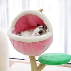 Monster World Cat Tree -A Great Coffee Shop monster world cat tree ragdoll cat piranha flower condo sleeping