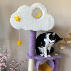 Moonlight Cat Tree -A Great Coffee Shop moonlight cat tree cat playing hanging toy 1