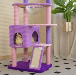 Moonlight Cat Tree -A Great Coffee Shop moonlight cat tree deluxe version dual opening 1