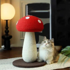 Mushroom Cat Scratcher 29 Mushroom Cat Scratcher -A Great Coffee Shop mushroom shaped cat toy scratcher 9