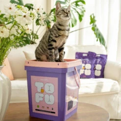 Clumping Organic Tofu Cat Litter -A Great Coffee Shop natural tofu cat litter
