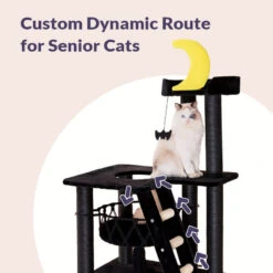 Nightfall Cat Tree -A Great Coffee Shop nightfall cat tree custom dynamic route for senior cat