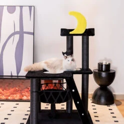 Nightfall Cat Tree -A Great Coffee Shop nightfall cat tree front view