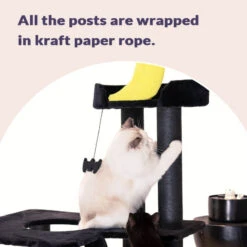 Nightfall Cat Tree -A Great Coffee Shop nightfall cat tree kraft paper rope posts