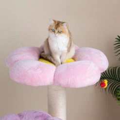 Three Flower Cat Tree -A Great Coffee Shop three flower cat tree pink platform cat