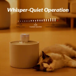 Automatic Cat Water Fountain: Dual Water Modes -A Great Coffee Shop whisper quiet operation