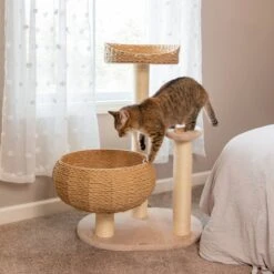 Sleeping In The Bowl Cat Tree 14 Sleeping In The Bowl Cat Tree -A Great Coffee Shop white kitten sleeping bowl cat tree 1