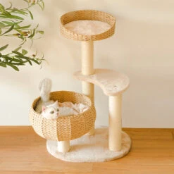 Sleeping In The Bowl Cat Tree 13 Sleeping In The Bowl Cat Tree -A Great Coffee Shop white kitten sleeping bowl cat tree wicker nest wooden floor